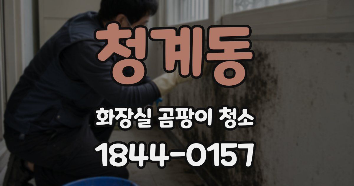 청계동 화장실 곰팡이 청소