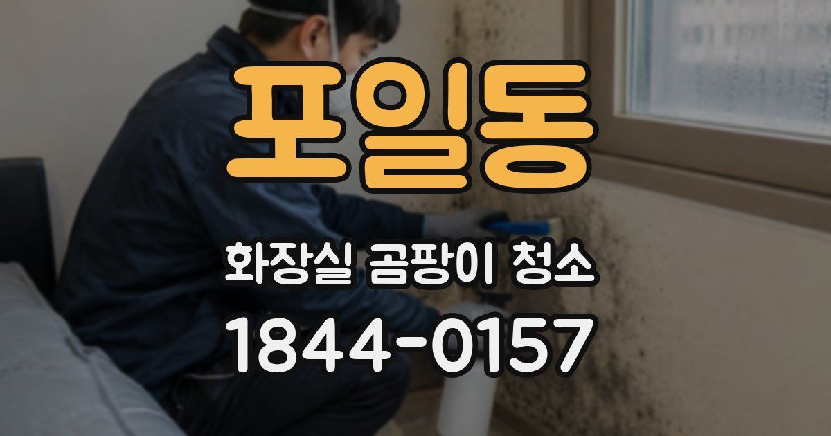 포일동 화장실 곰팡이 청소