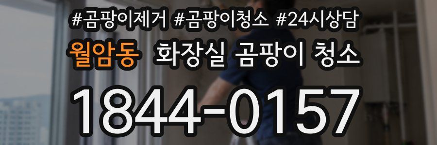 월암동 화장실 곰팡이 청소