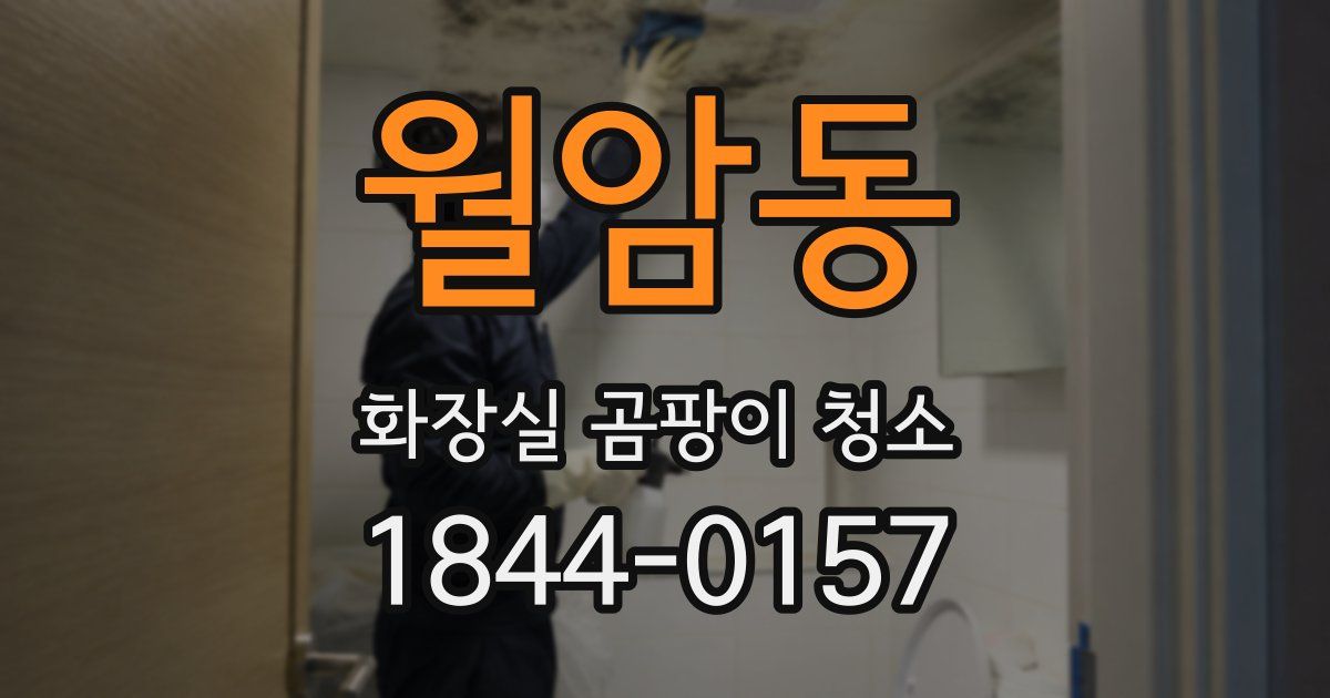 월암동 화장실 곰팡이 청소