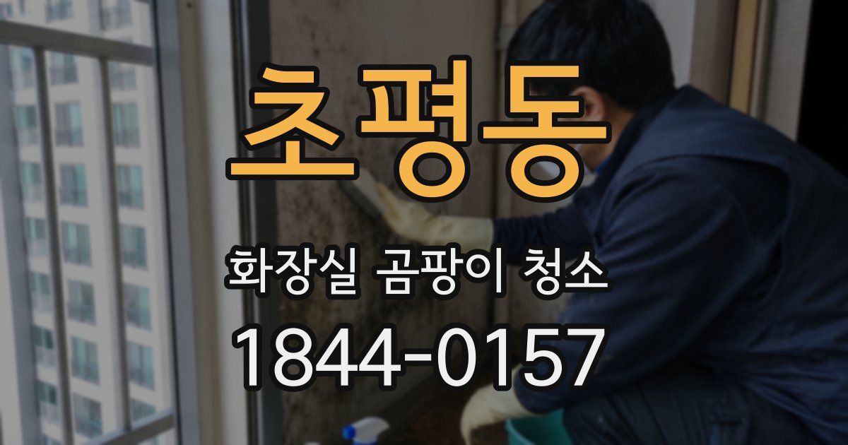 초평동 화장실 곰팡이 청소