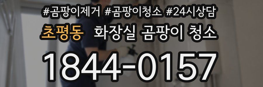 초평동 화장실 곰팡이 청소