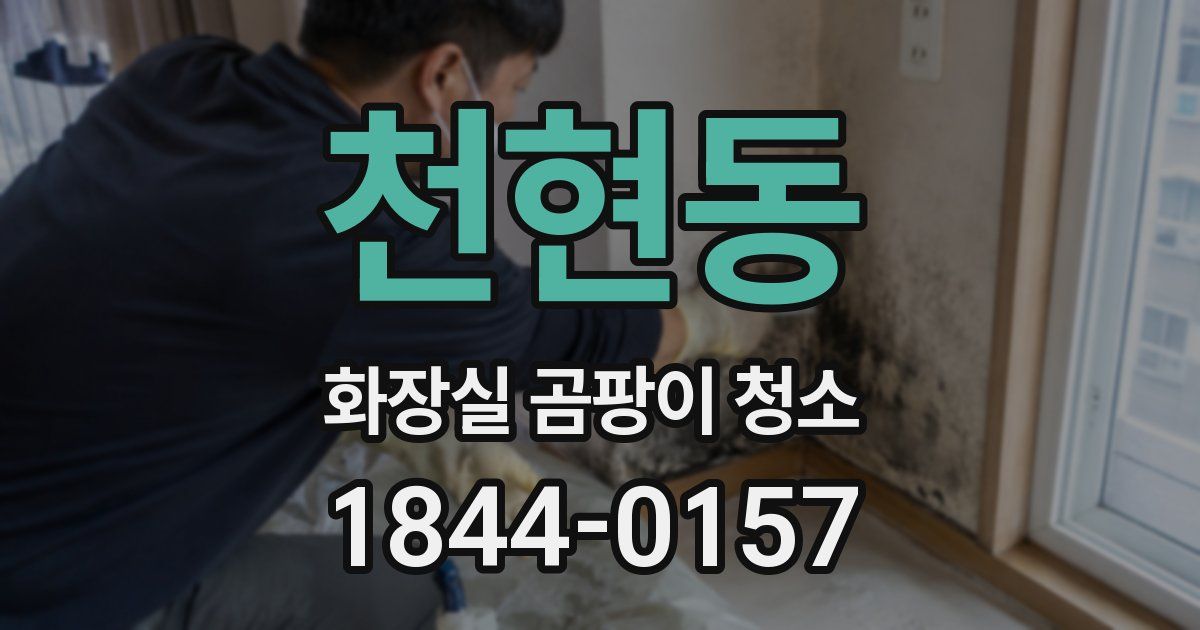 천현동 화장실 곰팡이 청소