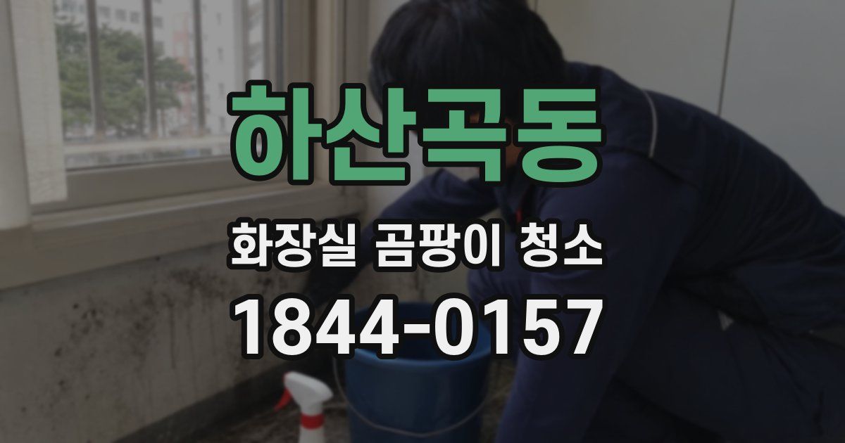 하산곡동 화장실 곰팡이 청소