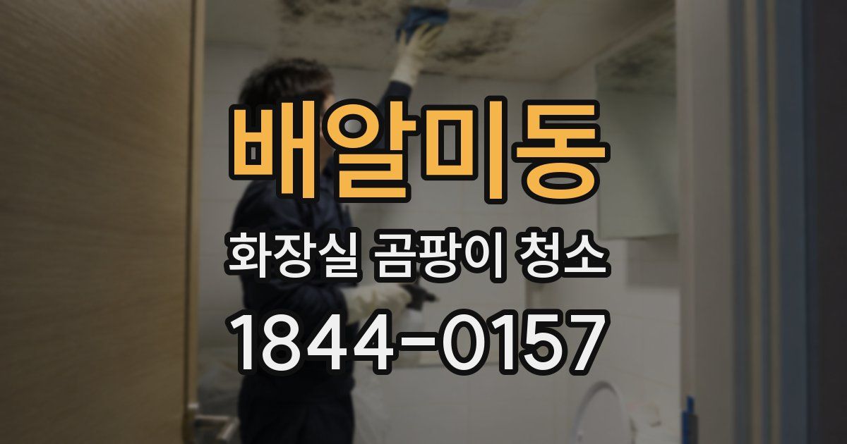 배알미동 화장실 곰팡이 청소