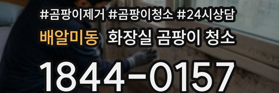 배알미동 화장실 곰팡이 청소