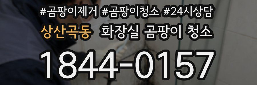 상산곡동 화장실 곰팡이 청소