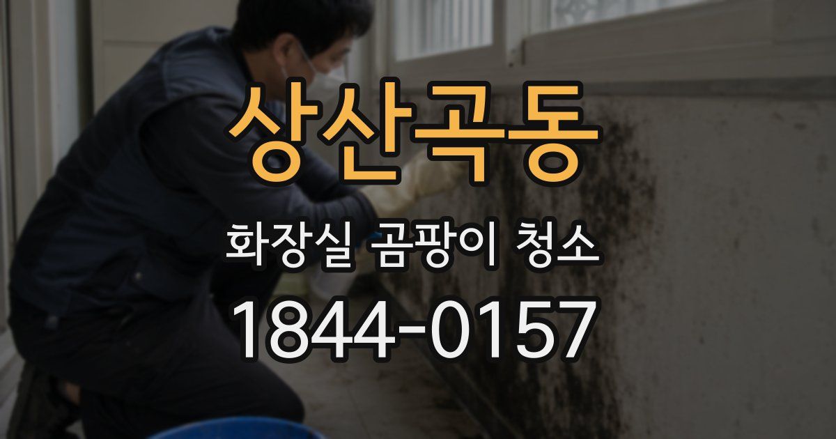 상산곡동 화장실 곰팡이 청소