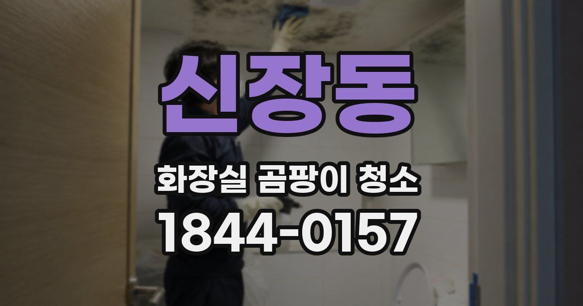 신장동 화장실 곰팡이 청소