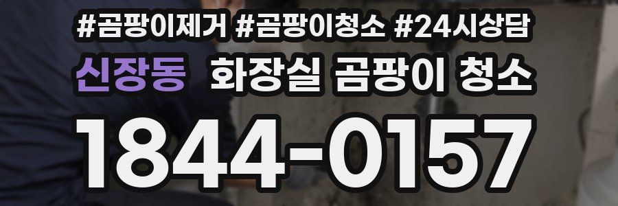 신장동 화장실 곰팡이 청소