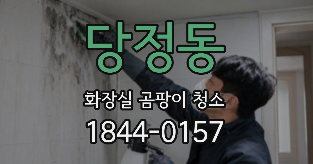 당정동 화장실 곰팡이 청소