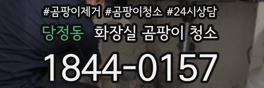 당정동 화장실 곰팡이 청소