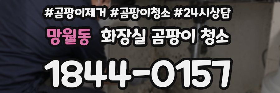 망월동 화장실 곰팡이 청소
