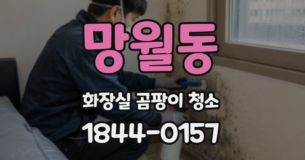 망월동 화장실 곰팡이 청소