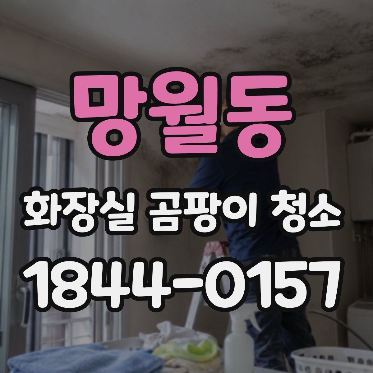 망월동 화장실 곰팡이 청소