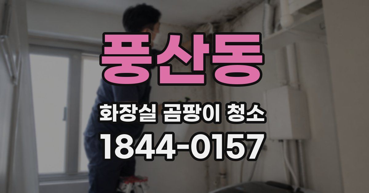 풍산동 화장실 곰팡이 청소
