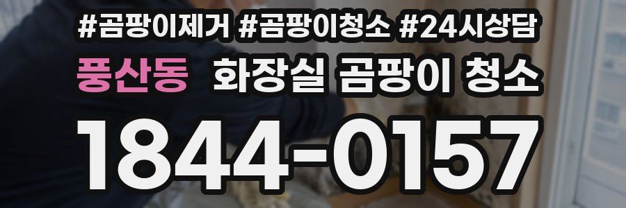 풍산동 화장실 곰팡이 청소
