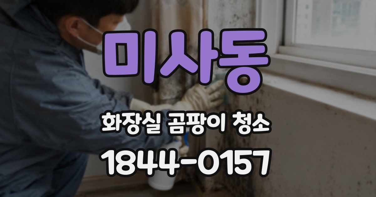 미사동 화장실 곰팡이 청소
