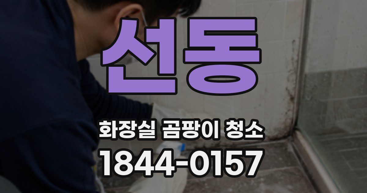 선동 화장실 곰팡이 청소