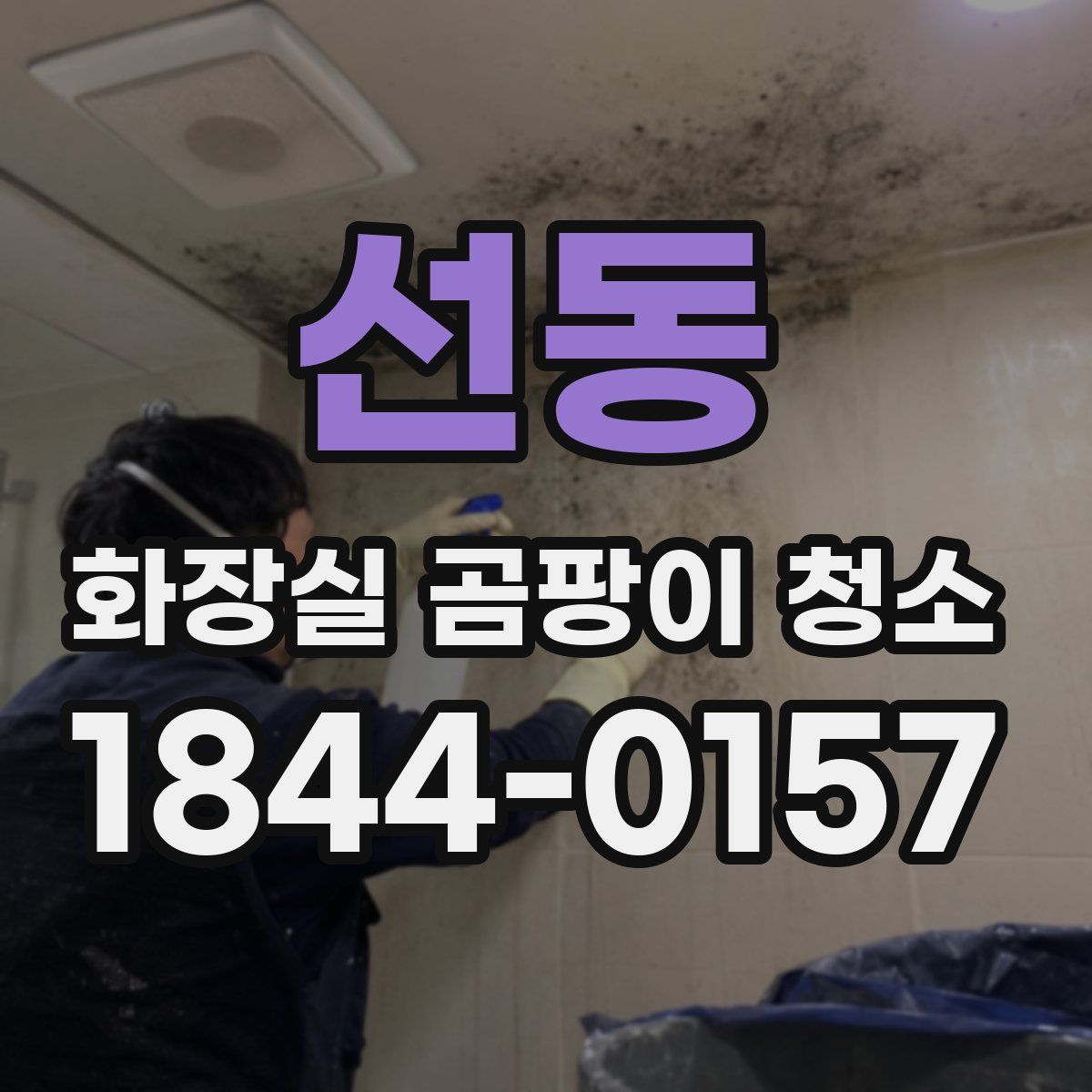 선동 화장실 곰팡이 청소