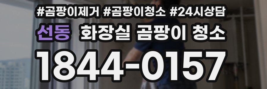 선동 화장실 곰팡이 청소