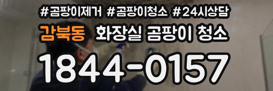 감북동 화장실 곰팡이 청소