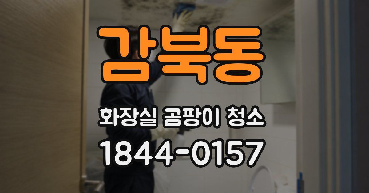감북동 화장실 곰팡이 청소
