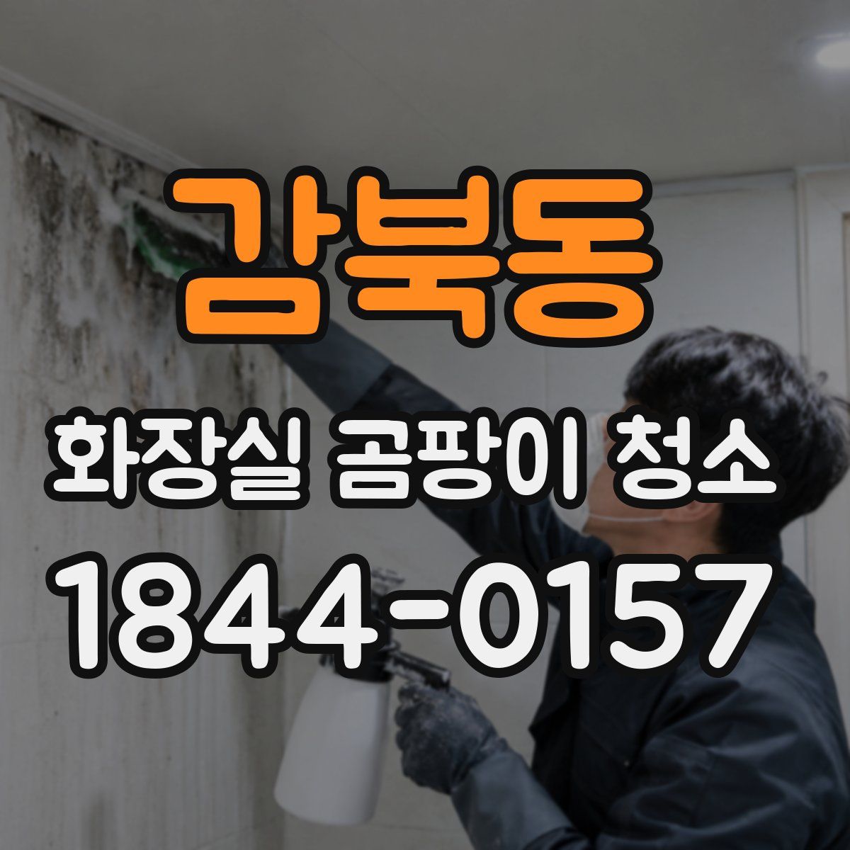감북동 화장실 곰팡이 청소