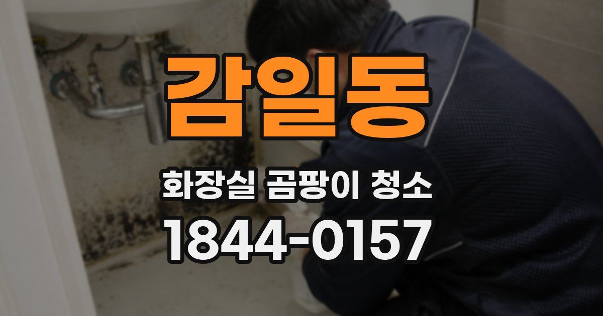감일동 화장실 곰팡이 청소