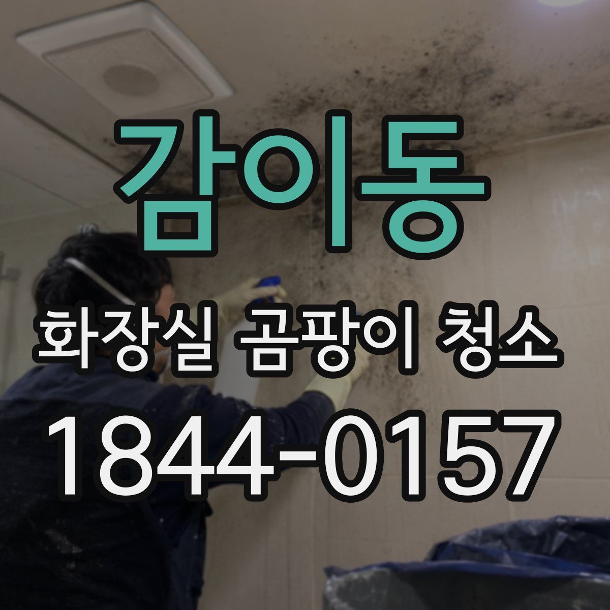 감이동 화장실 곰팡이 청소