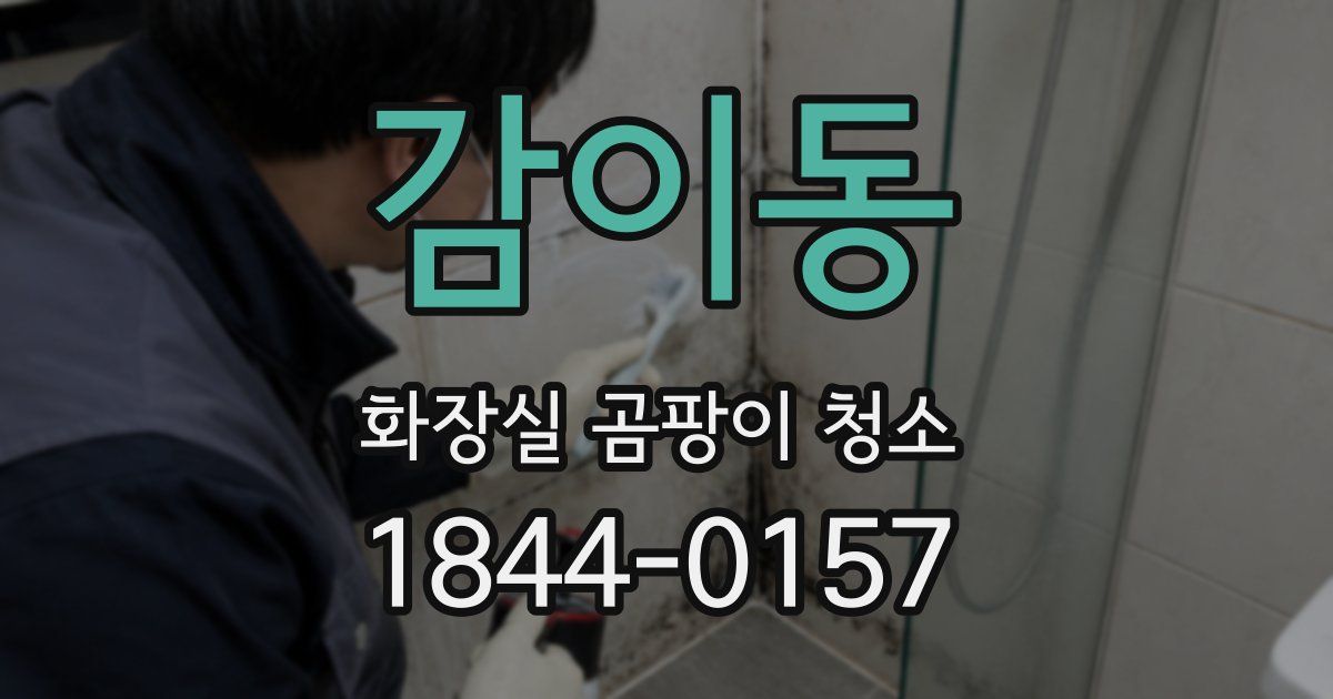 감이동 화장실 곰팡이 청소