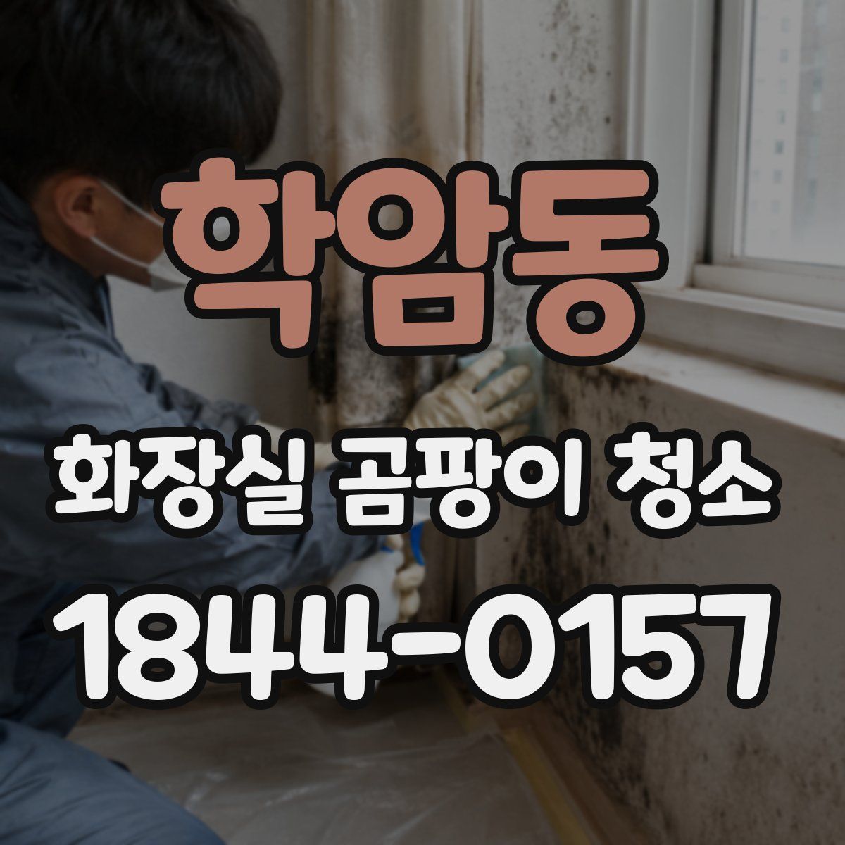 학암동 화장실 곰팡이 청소