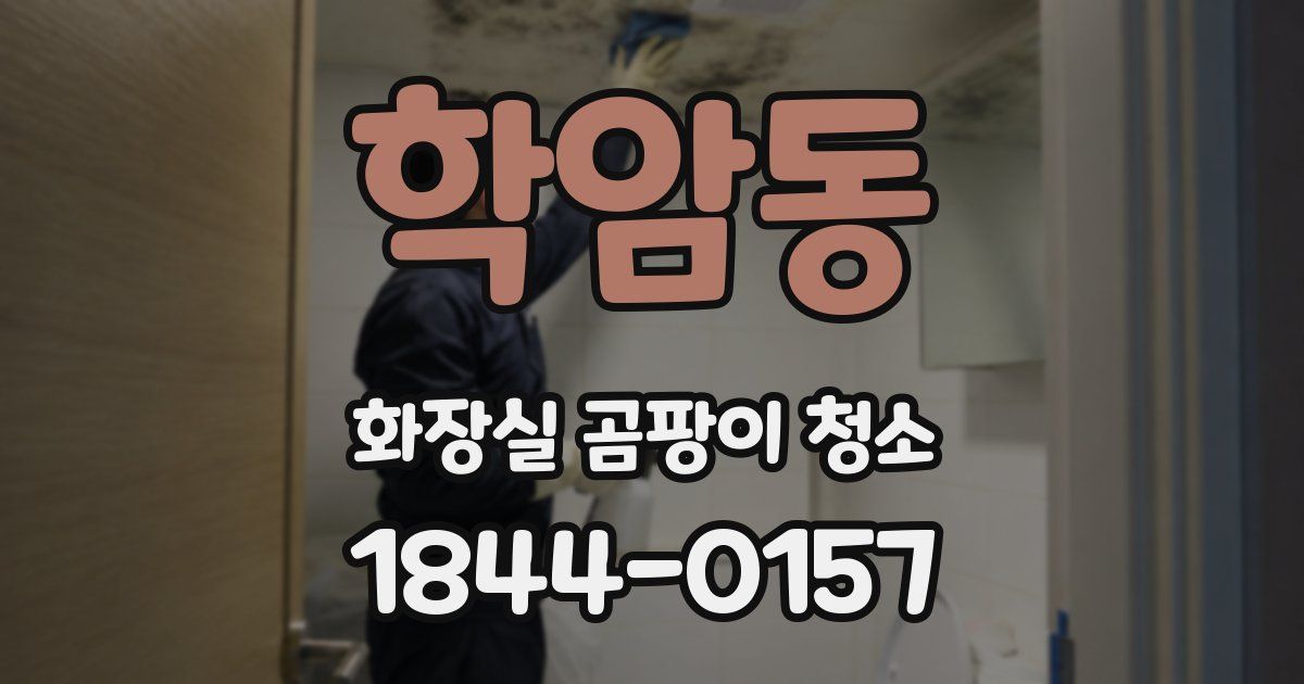 학암동 화장실 곰팡이 청소