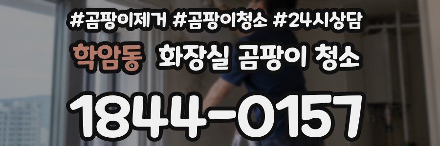 학암동 화장실 곰팡이 청소