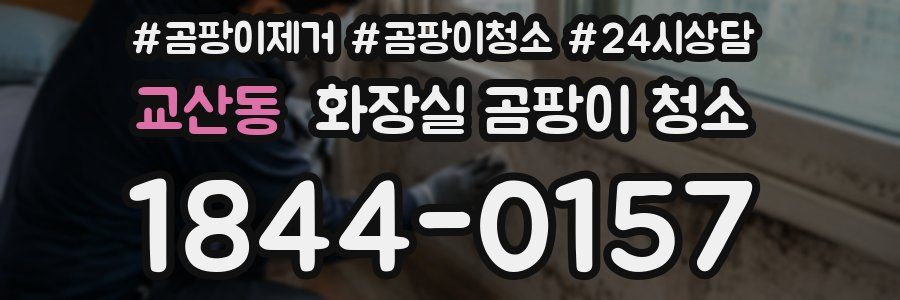 교산동 화장실 곰팡이 청소