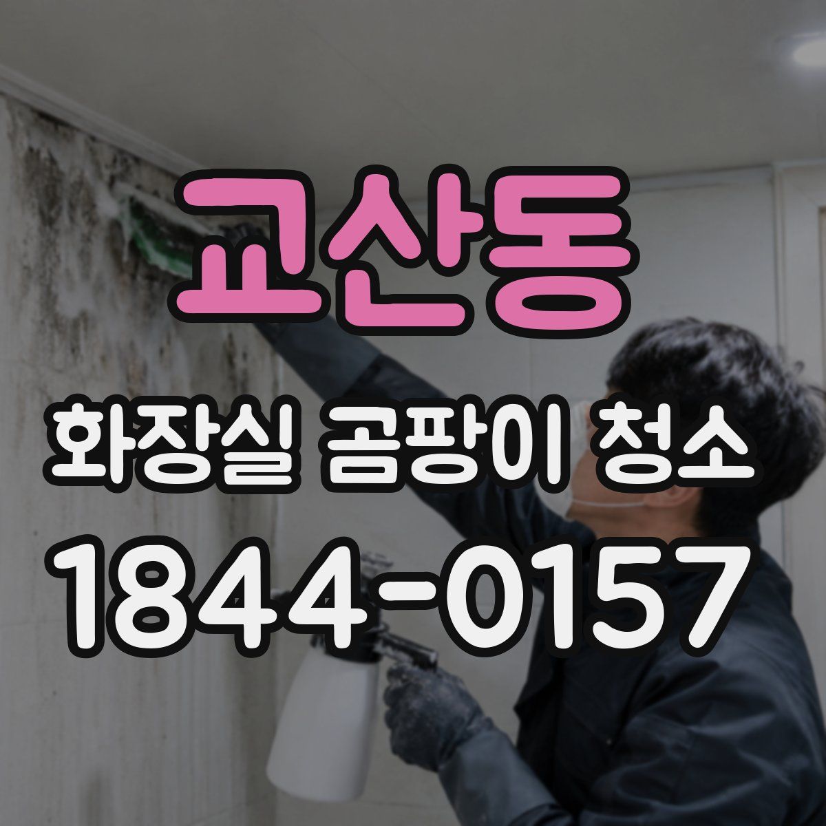 교산동 화장실 곰팡이 청소