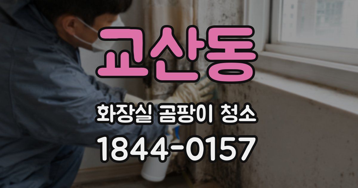 교산동 화장실 곰팡이 청소