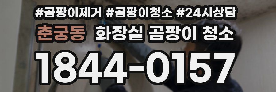 춘궁동 화장실 곰팡이 청소