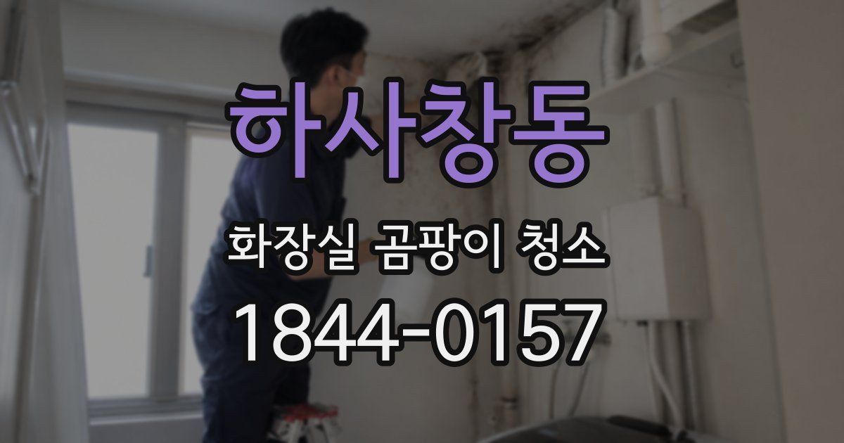 하사창동 화장실 곰팡이 청소