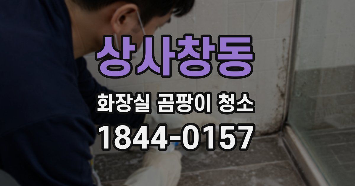 상사창동 화장실 곰팡이 청소