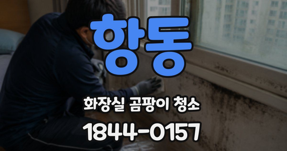 항동 화장실 곰팡이 청소