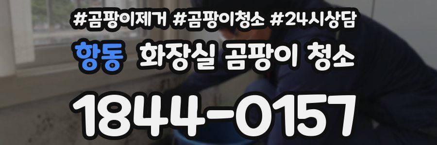 항동 화장실 곰팡이 청소