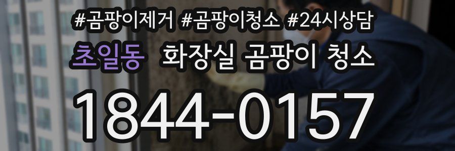 초일동 화장실 곰팡이 청소