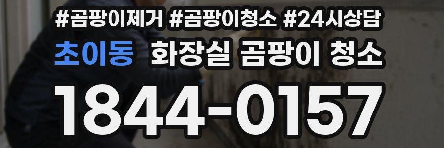 초이동 화장실 곰팡이 청소