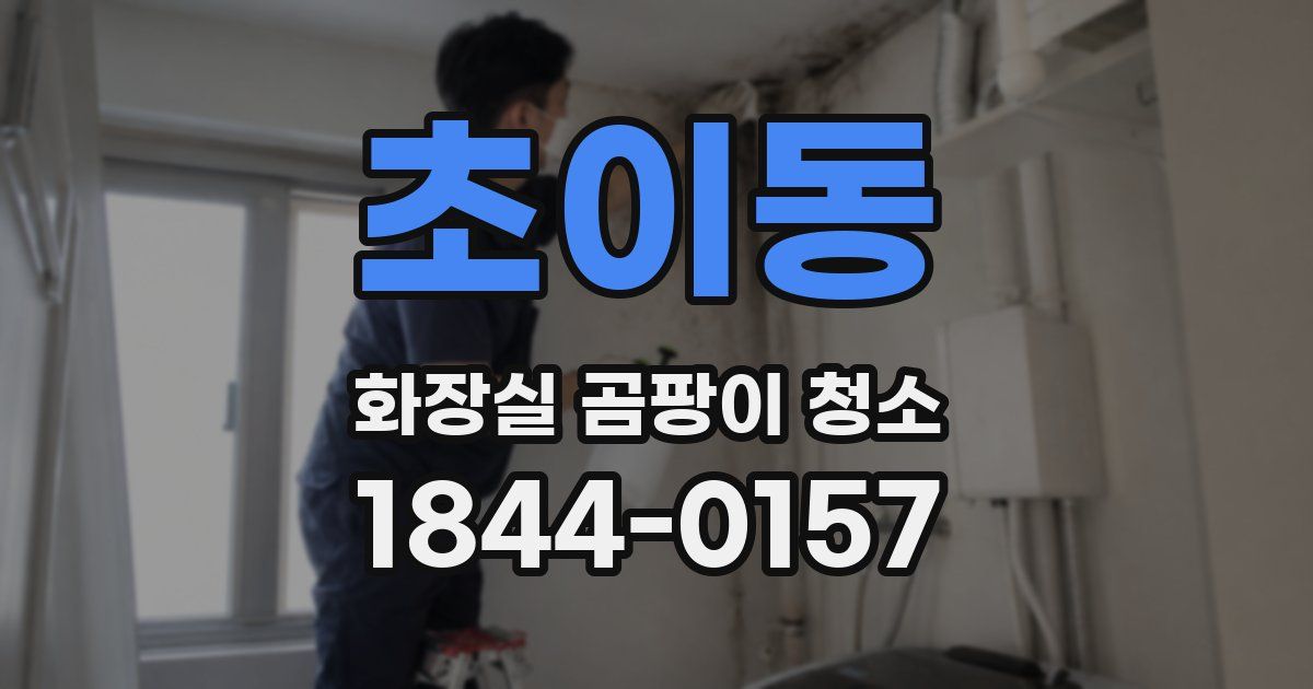 초이동 화장실 곰팡이 청소