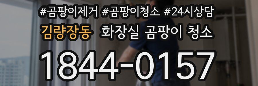 김량장동 화장실 곰팡이 청소