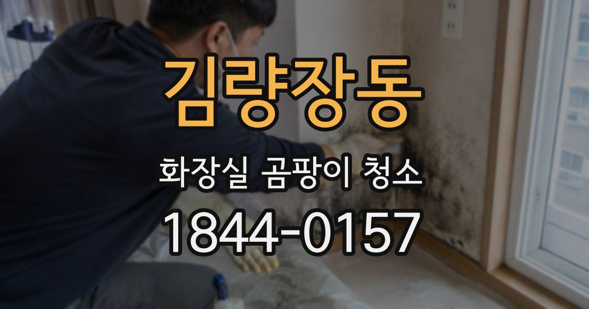 김량장동 화장실 곰팡이 청소