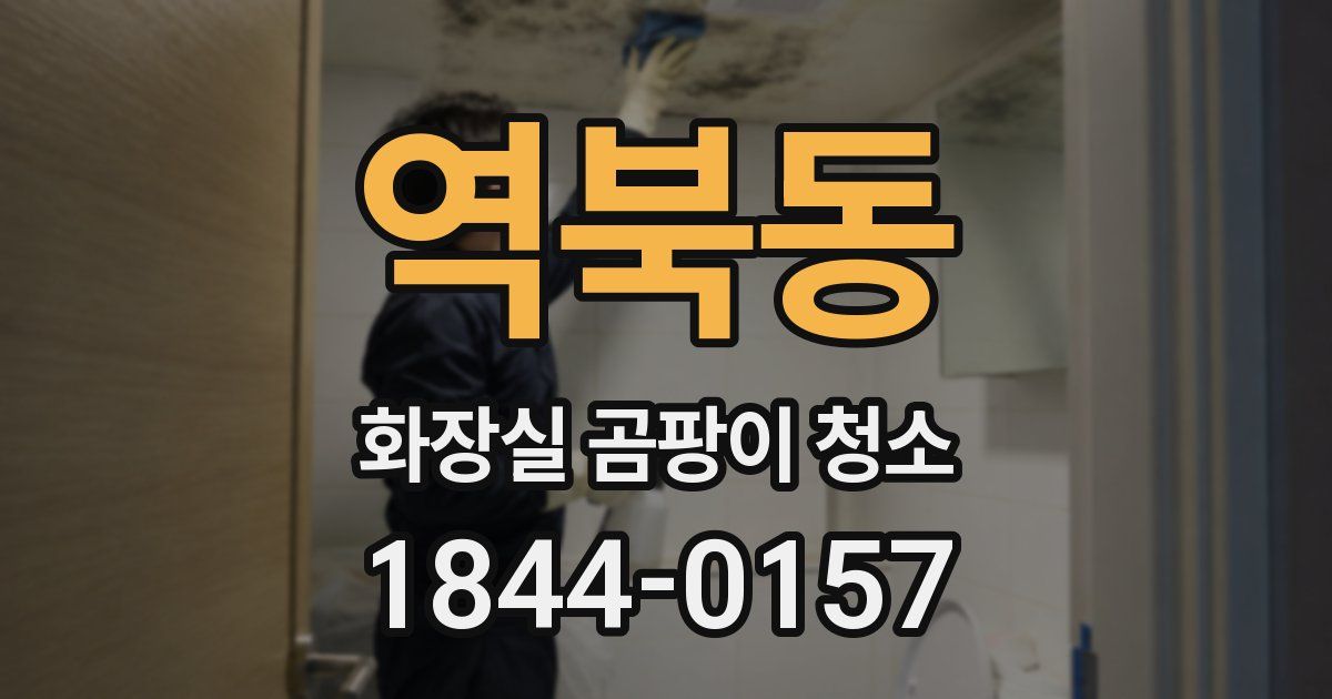 역북동 화장실 곰팡이 청소