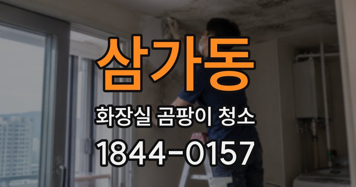삼가동 화장실 곰팡이 청소