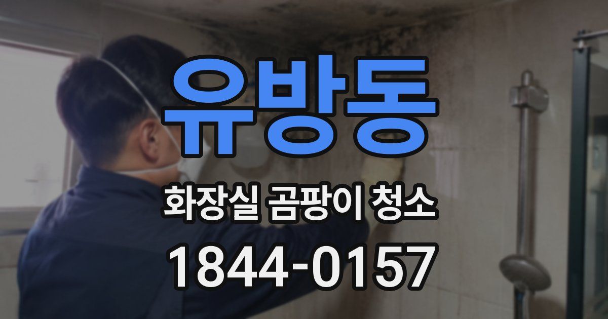 유방동 화장실 곰팡이 청소